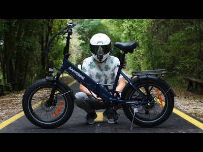 Le Compagnon du Matin Calme : SAMEBIKE LOTDM200-II