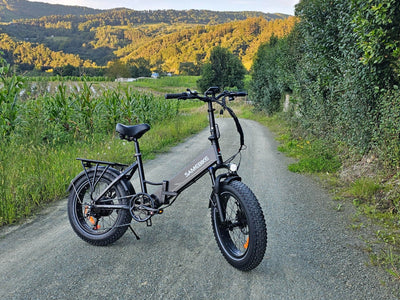 SAMEBIKE LOTDM200-II Pneus larges Vélo électrique pliant